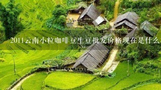 2011云南小粒咖啡豆生豆批发价格现在是什么样的呢?前景又怎样??适合大量投资吗???