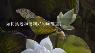 如何挑选和磨制好的咖啡豆？