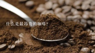 什么是最昂贵的咖啡？