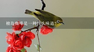 檀岛咖啡是一种什么味道？