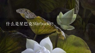 什么是星巴克Starbucks？