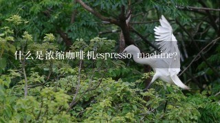 什么是浓缩咖啡机espresso