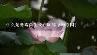 什么是低霉菌生长在咖啡中的原因？