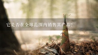 它是否在全球范围内销售其产品？