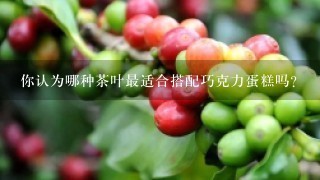 你认为哪种茶叶最适合搭配巧克力蛋糕吗？