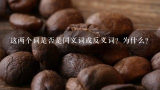 这两个词是否是同义词或反义词？为什么？