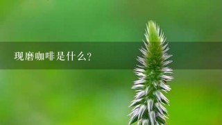 现磨咖啡是什么？